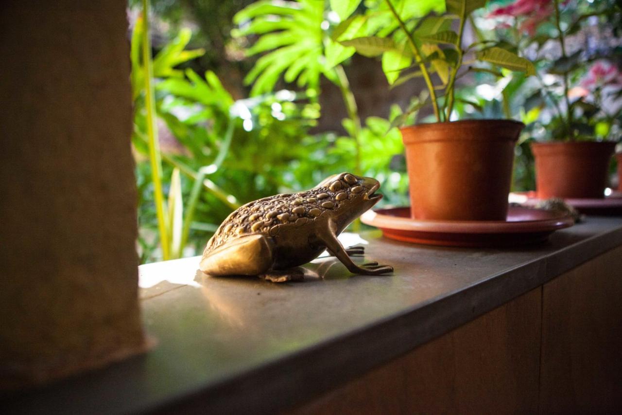 Serendipity House Goa Nerul  Phòng bức ảnh
